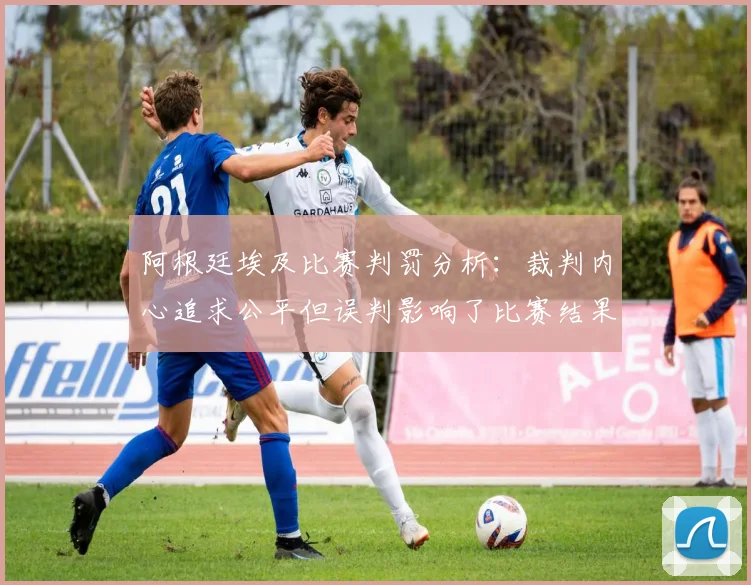 阿根廷埃及比赛判罚分析：裁判内心追求公平但误判影响了比赛结果